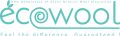 ecowool_logo_turq